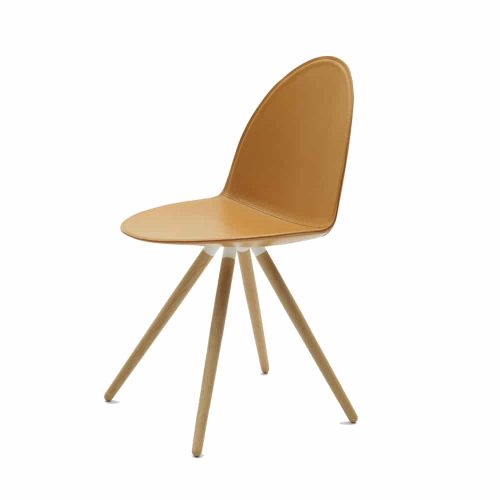 cameltrspololegno-main